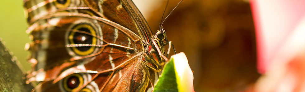 帮您管理资源的网页攻击软件