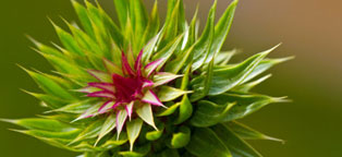 CC在线压力测试